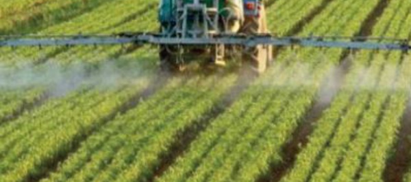 L’ agriculture, une résilience à toute épreuve en 2020